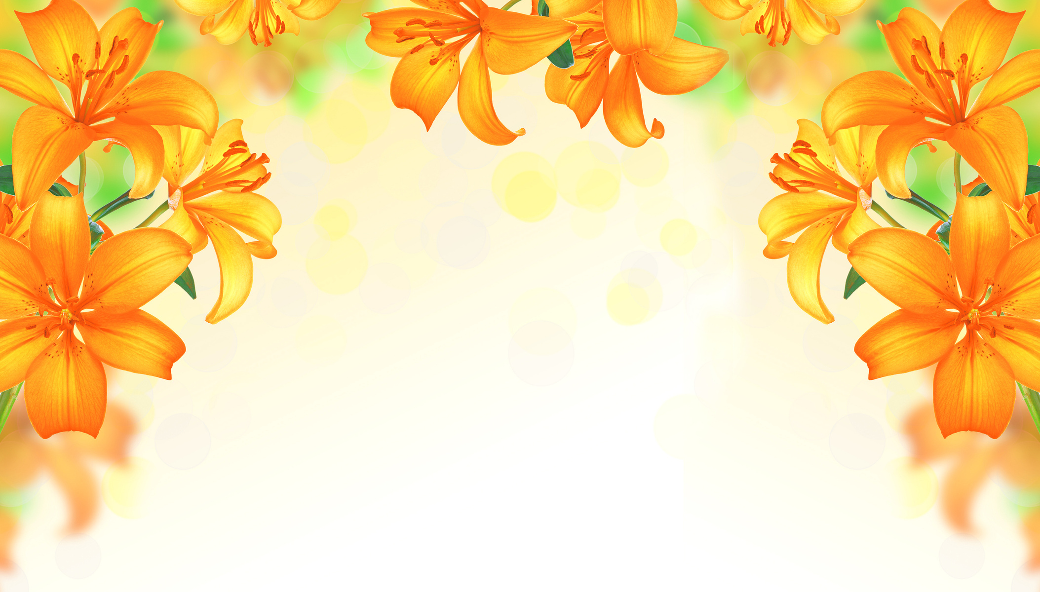 Lily Flowers border design.Summer Flowers